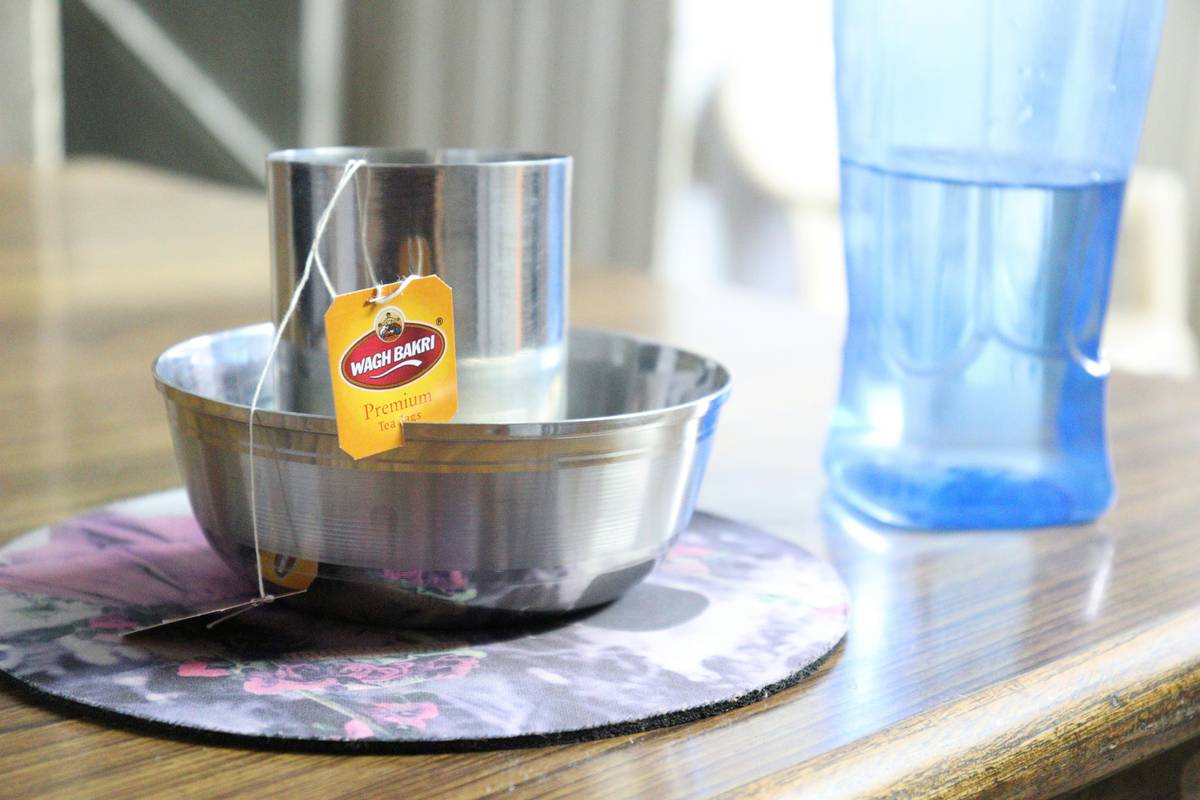 Close-up of pet drinking from pet water dispenser automatic with filtered water flow visible