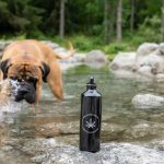 Dog Water Bowl Portable: 7 Proven Ways to Avoid Dehydration Disasters on the Go